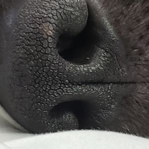 Meet your Posher, Jenn